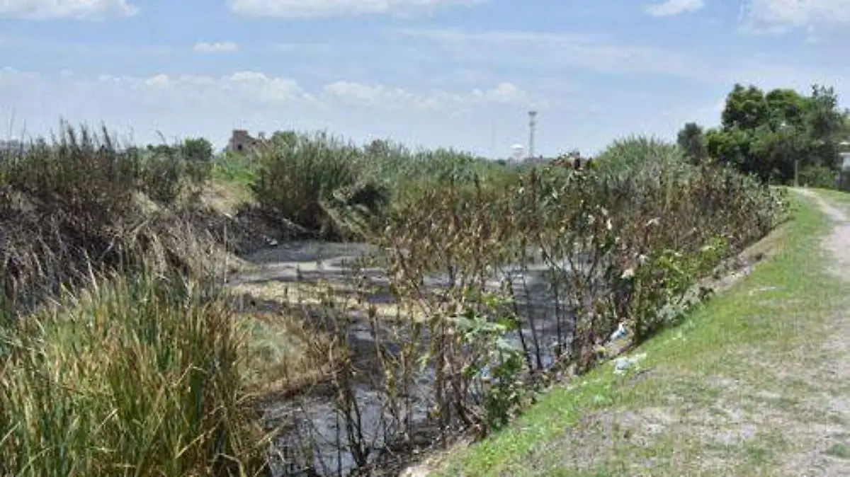 RIO GTO CONTAMINADO OK