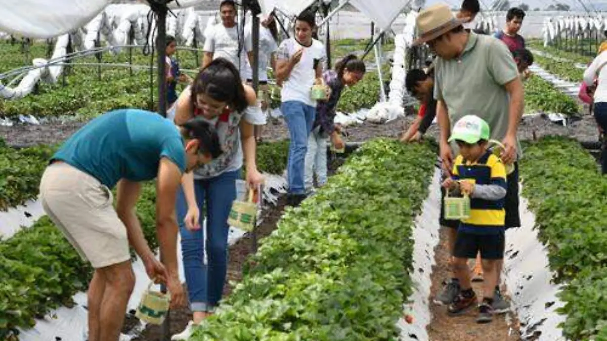 05a3b6d3-8179-4243-9ccf-3b4f77b825e9