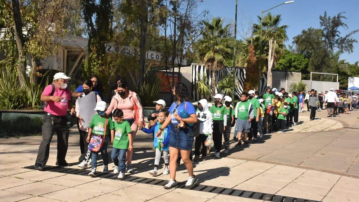 Concluye-Cursos-Verano-2