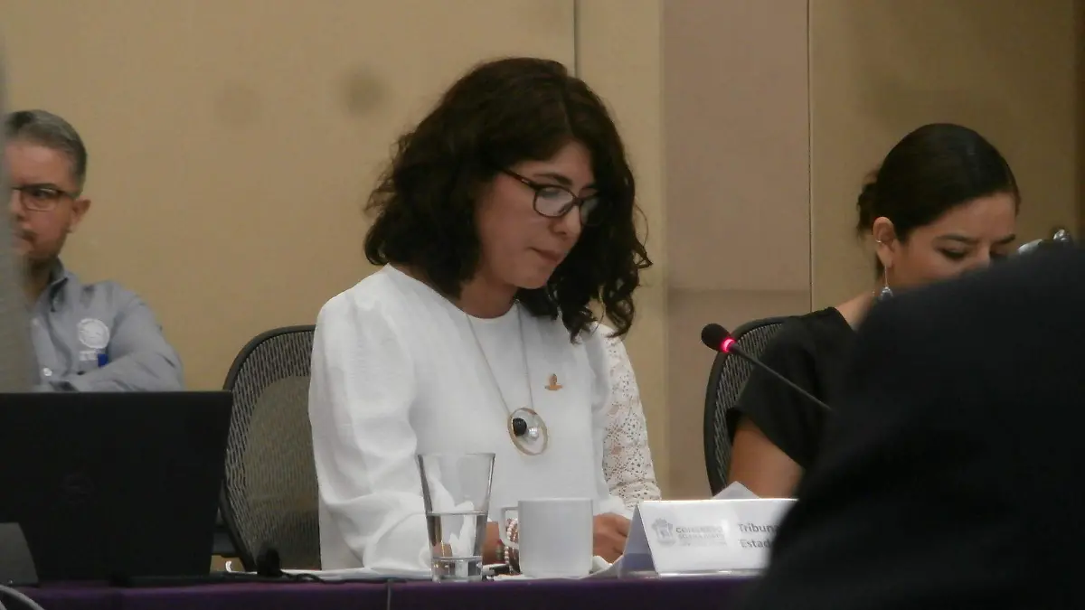 Guanajuato ratifica TEEG multa por 12 MDP para Morena Foto Crescencio Torres (3)