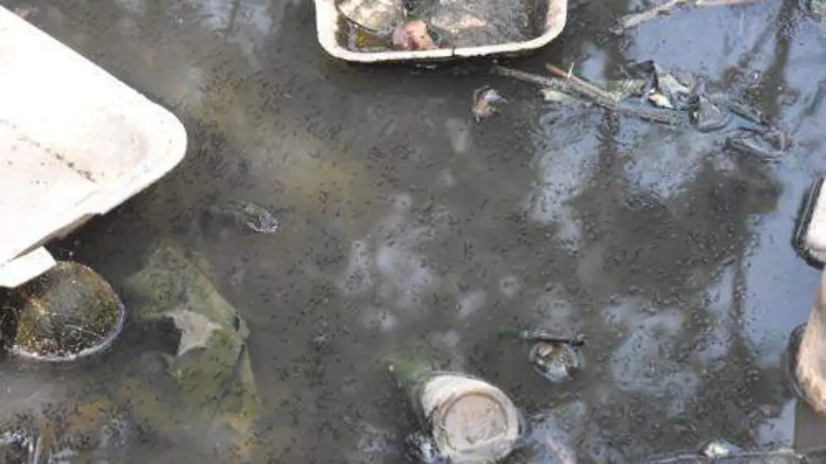 calle y canal contaminado (5)