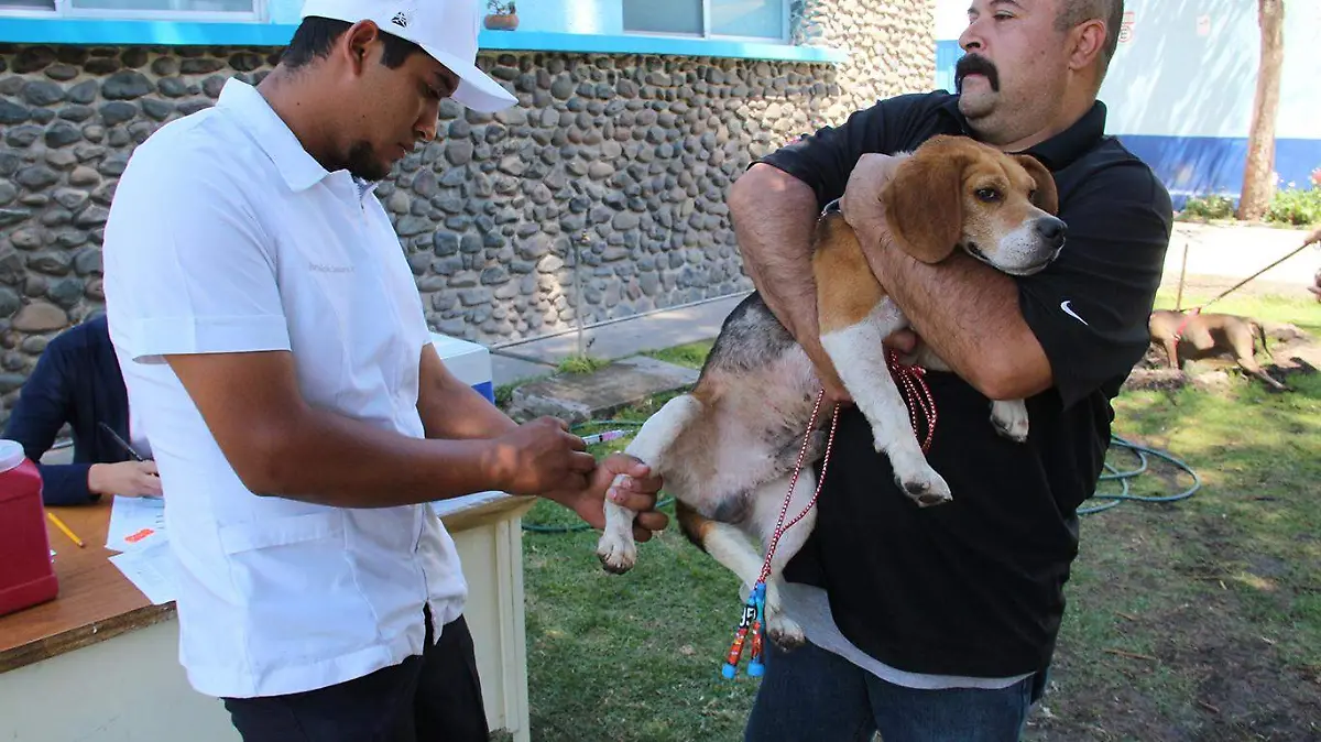 SE CONTINUA VACUNANDO