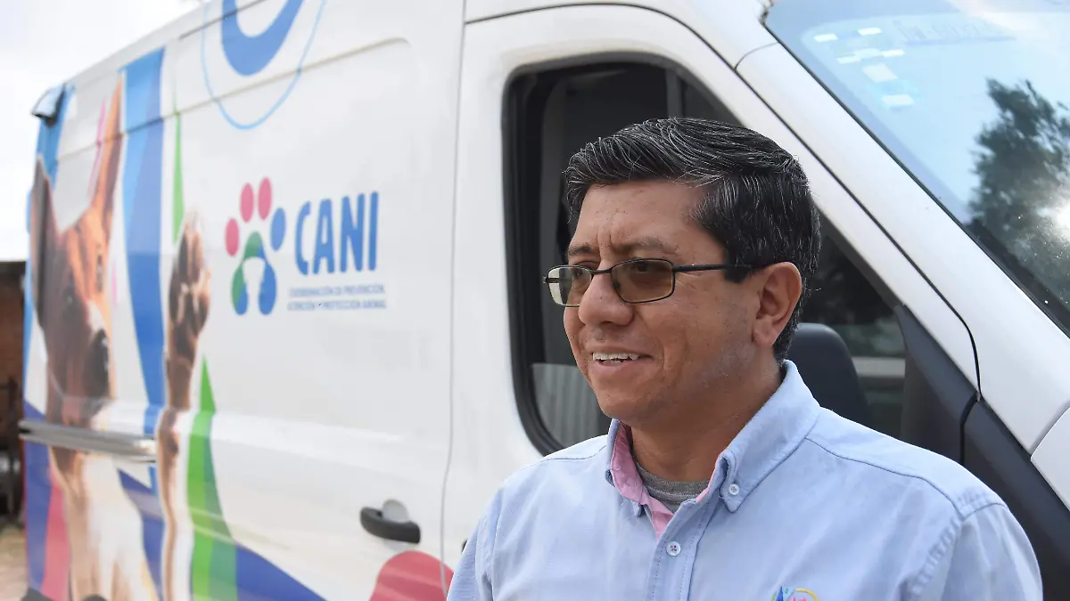 Abandono-de-perros (2)