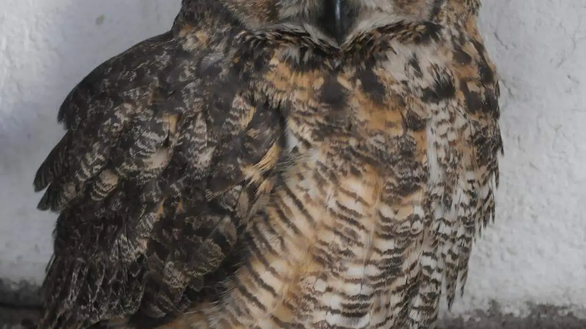 00ca8a99-0b57-48a8-99ce-28ebd1b37813