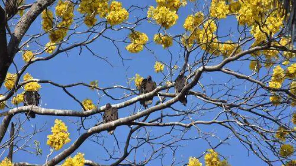 01e1878e-e137-4abb-9c14-87dc7c0ca5fa