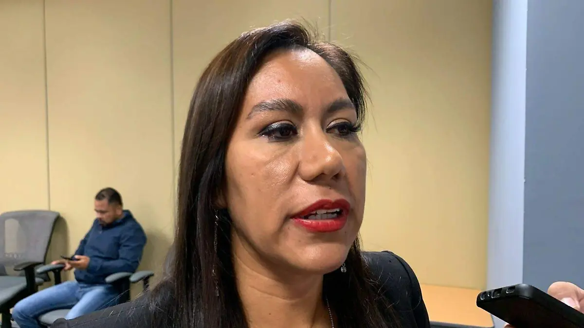 GUANAJUATO INVIABLE REFORMAR LEY ELECTORAL PARA DEFINIR ACTOS ANTICIPADOS DE CAMPAÑA(3)