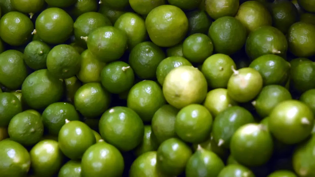 CANASTA BASICA LIMON (1)