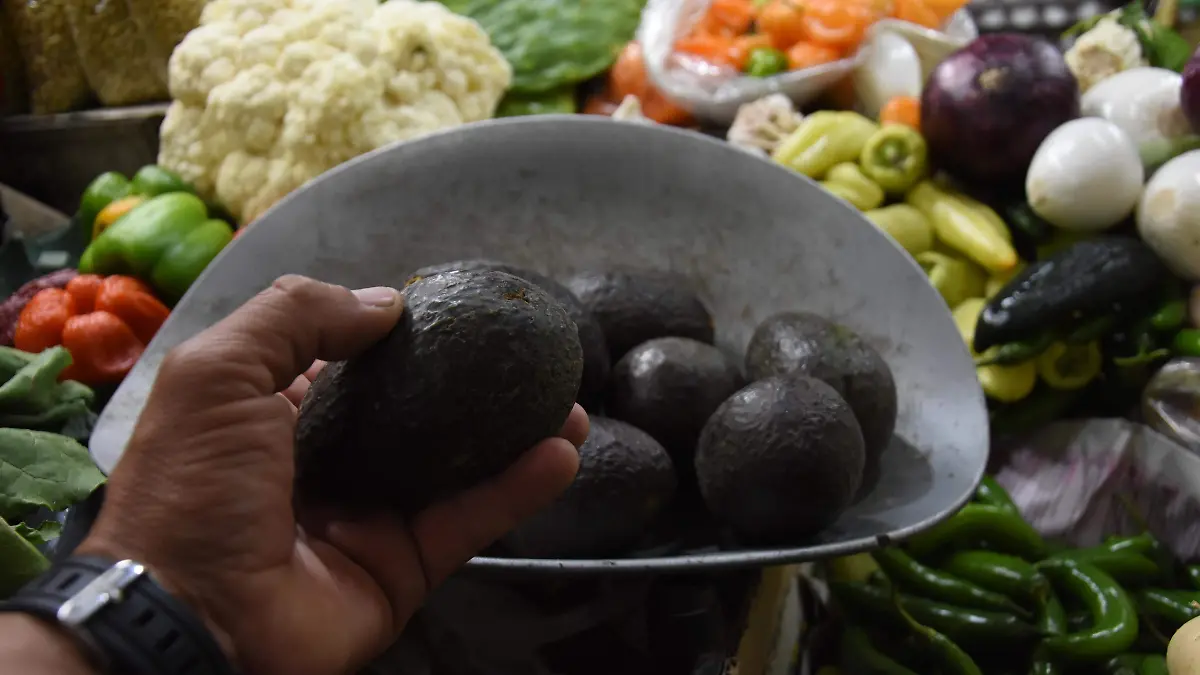 Por-fin-cede-el-precio-del-limón (2)