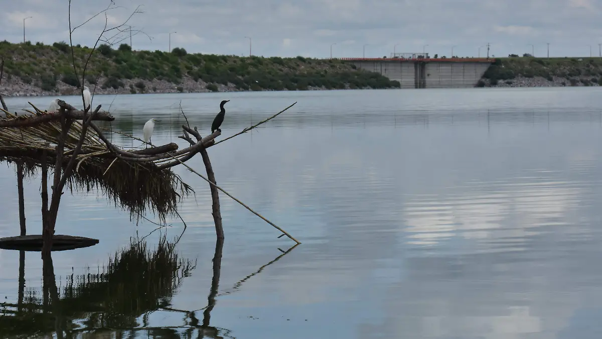 Presa