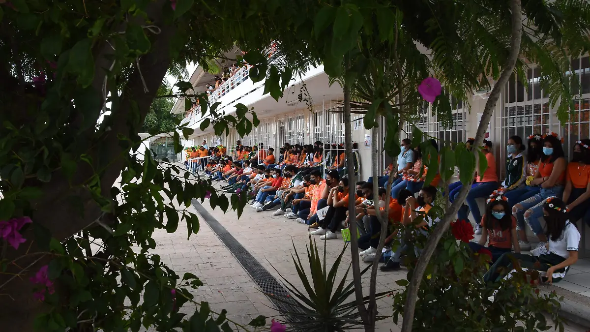 CULTURAL DIA DEL ARBOL