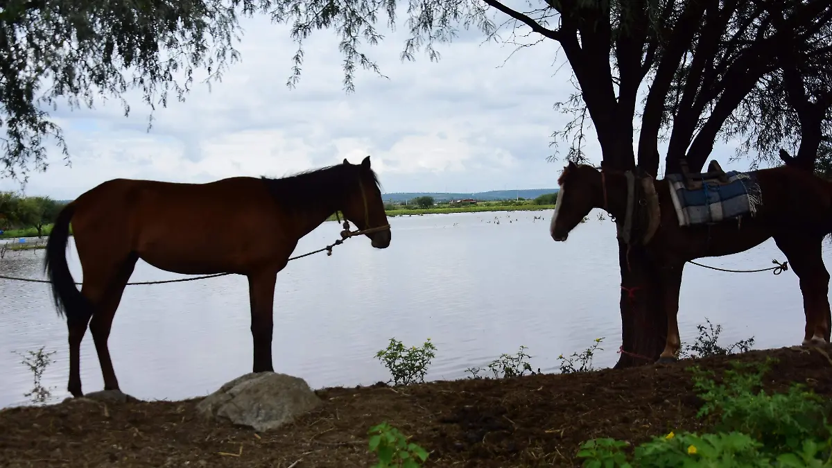 RIESGOS-DE-INUNDACIÓN-(7)