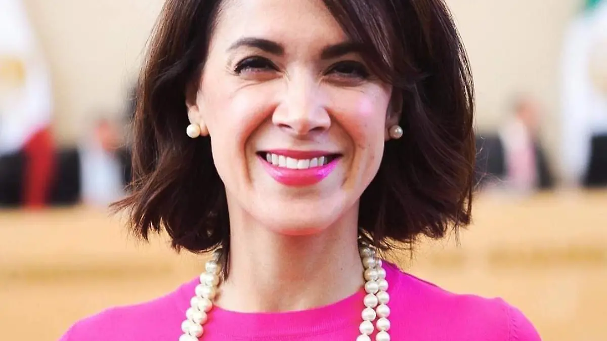 La-iniciativa-de-reforma