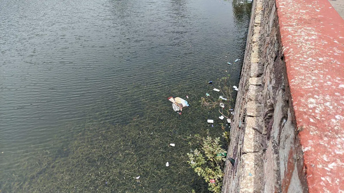 Supera la basura Presa de la Olla  (1)