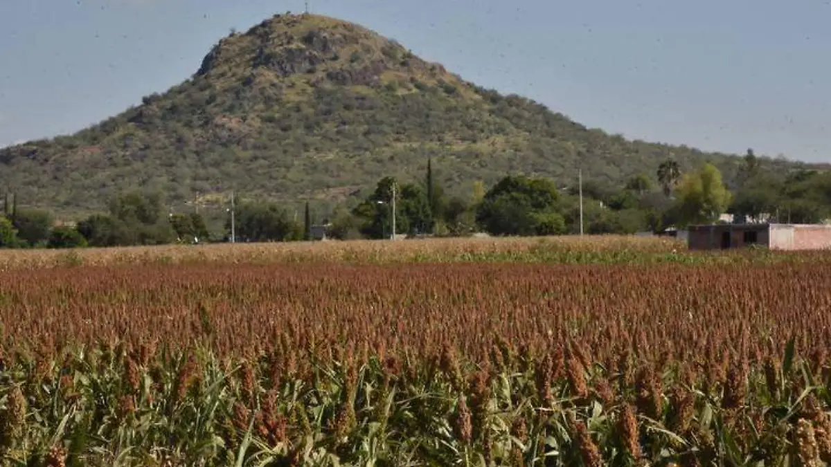 Crece-precio-de-insumos (1)