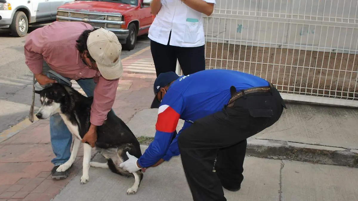 4b21880b-25a5-4e48-a918-f4b5711d75e6