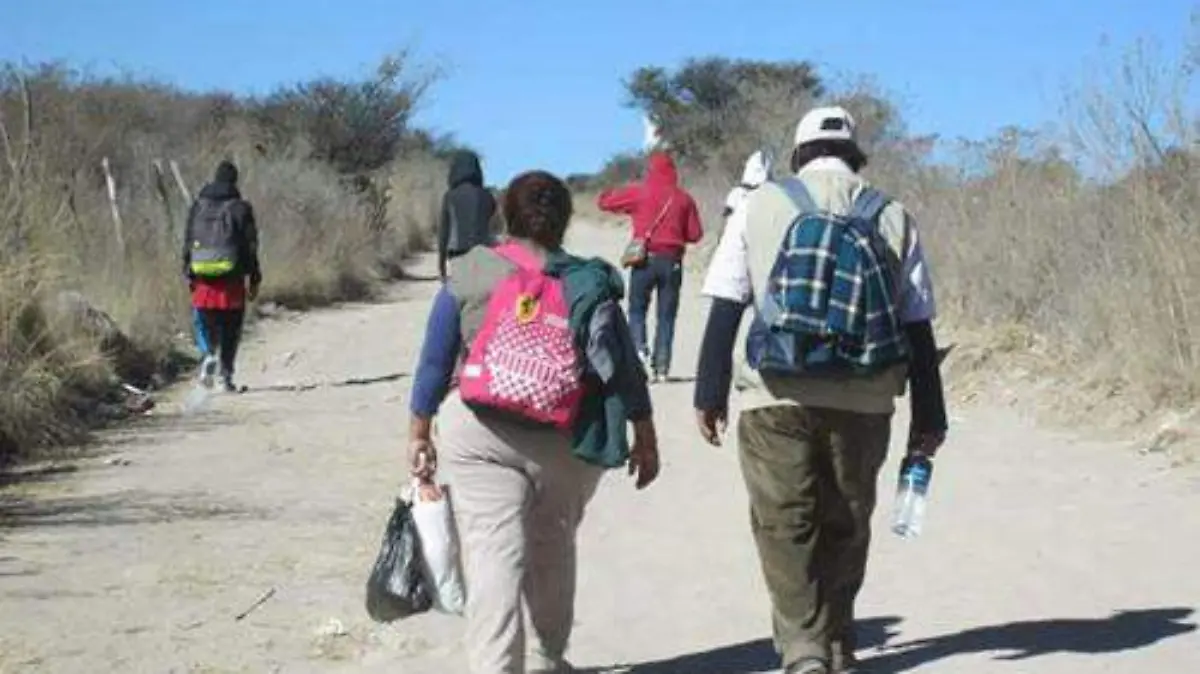 MIGRANTES (1)