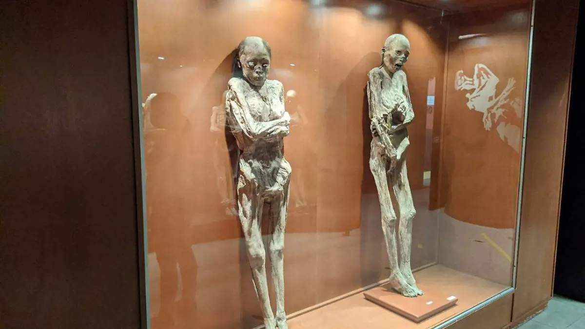 Navarro-Saldaña-indicó 