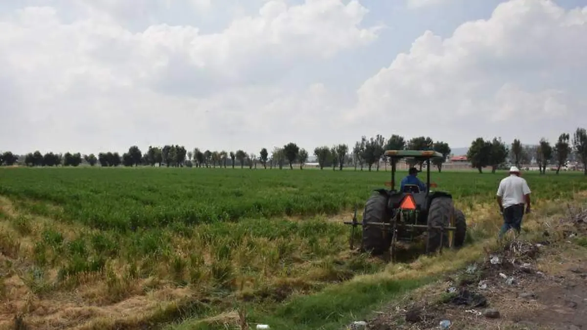 Lluvias-mitigan-sequía (1)