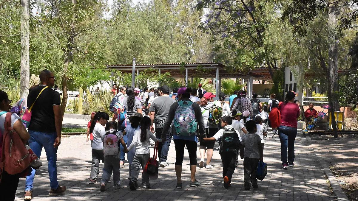 zoologico (5)