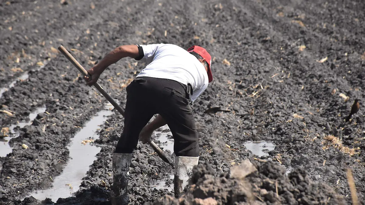 Viven-consecuencias-okokok 