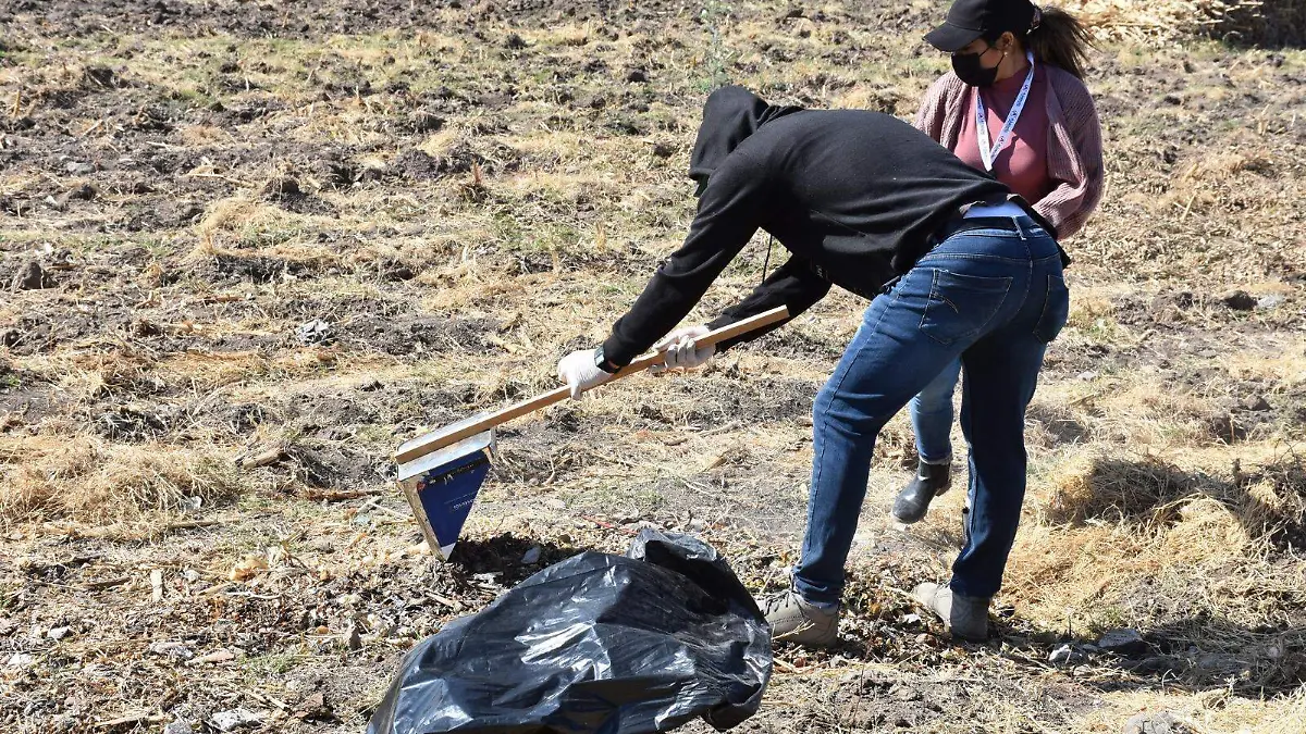 La-importancia-del-programa 