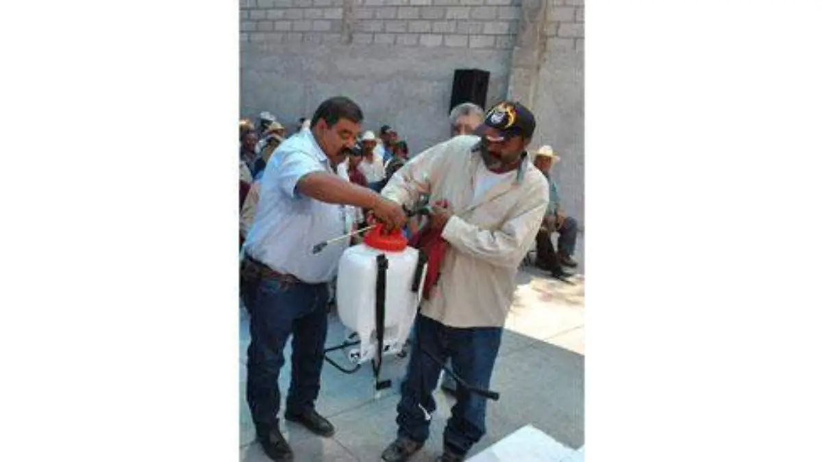 DIVERSOS FUERON LOS OK