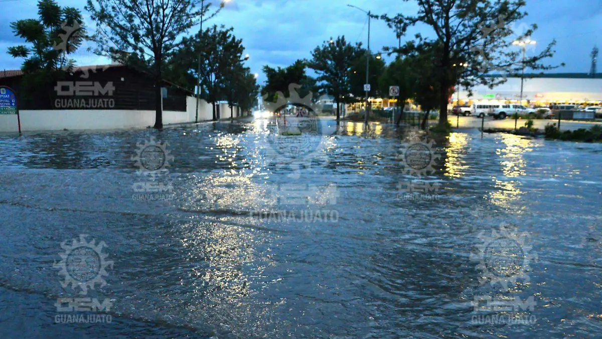 0dba1a97-bed8-488a-9092-0cc32b869e48