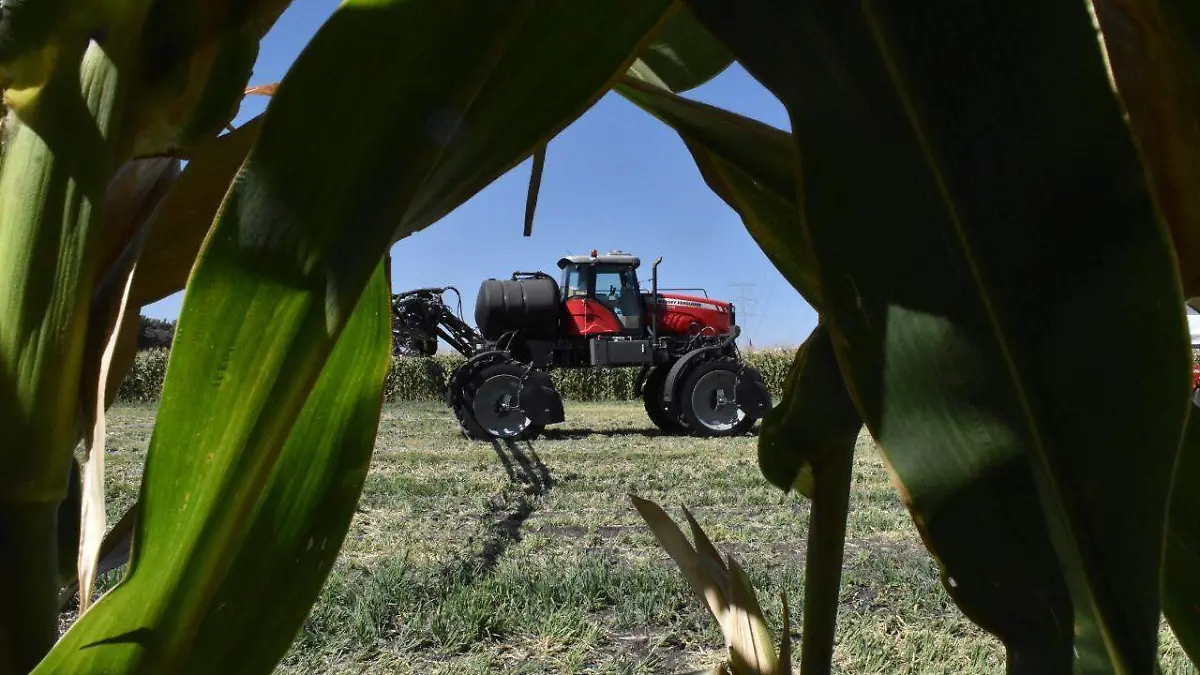 44647ef8-23b5-4b38-8775-57b76b29db67