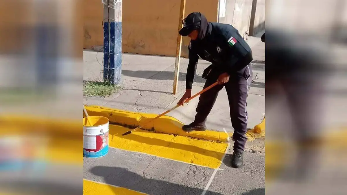 Vialidad