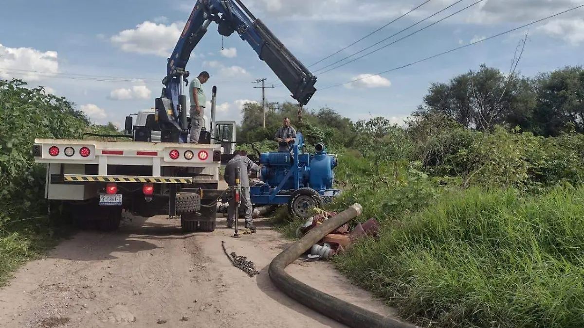 82d699fd-fc8e-4ab2-9abf-d5bfd8c6fe7c