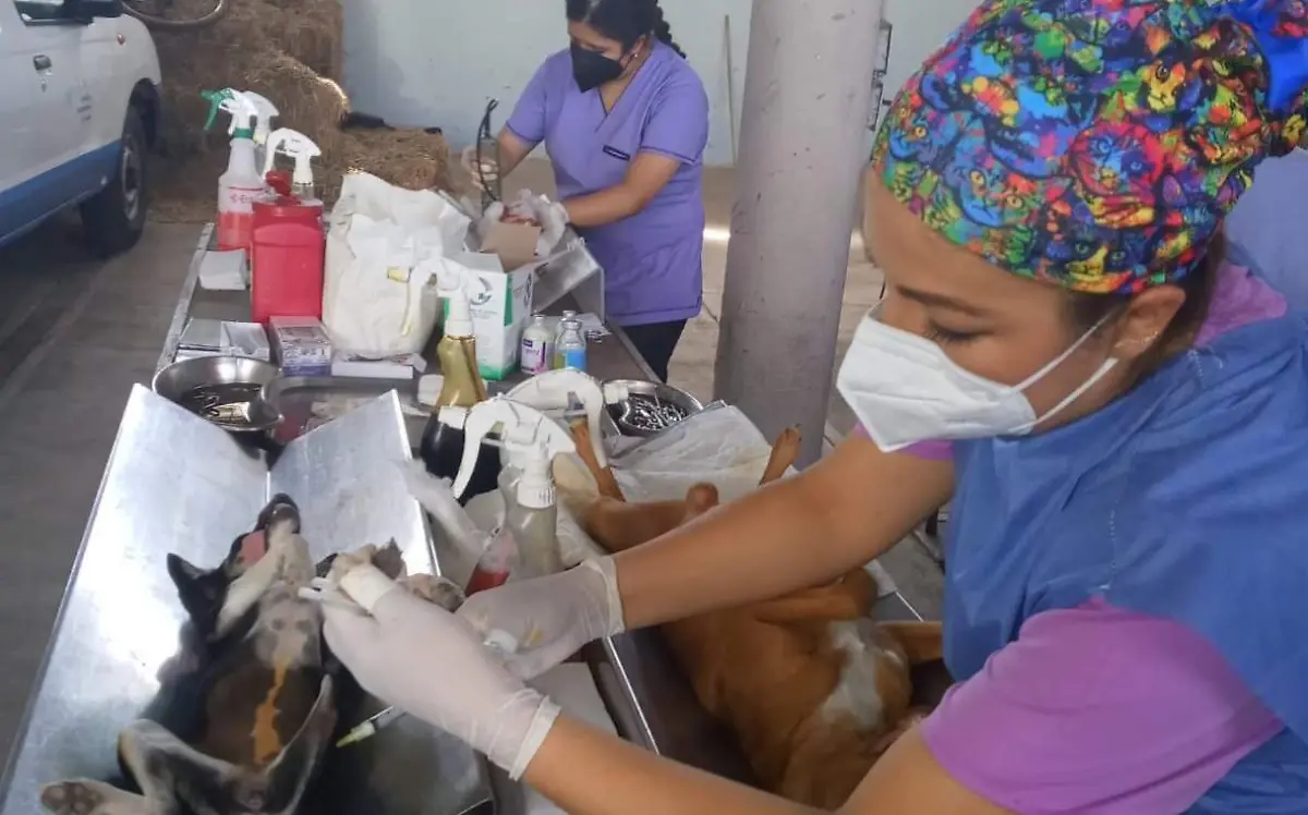 bad14082-8c99-4d2c-bfdd-be0a4e8e8f3f