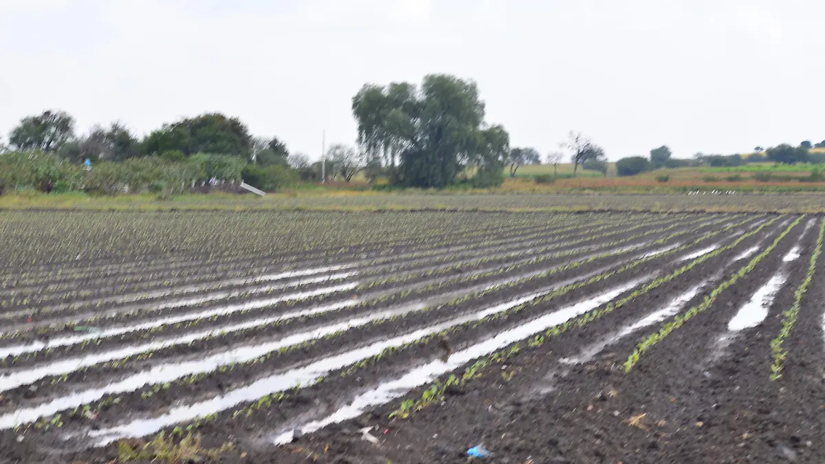 cuidado del agua en el campo (1)