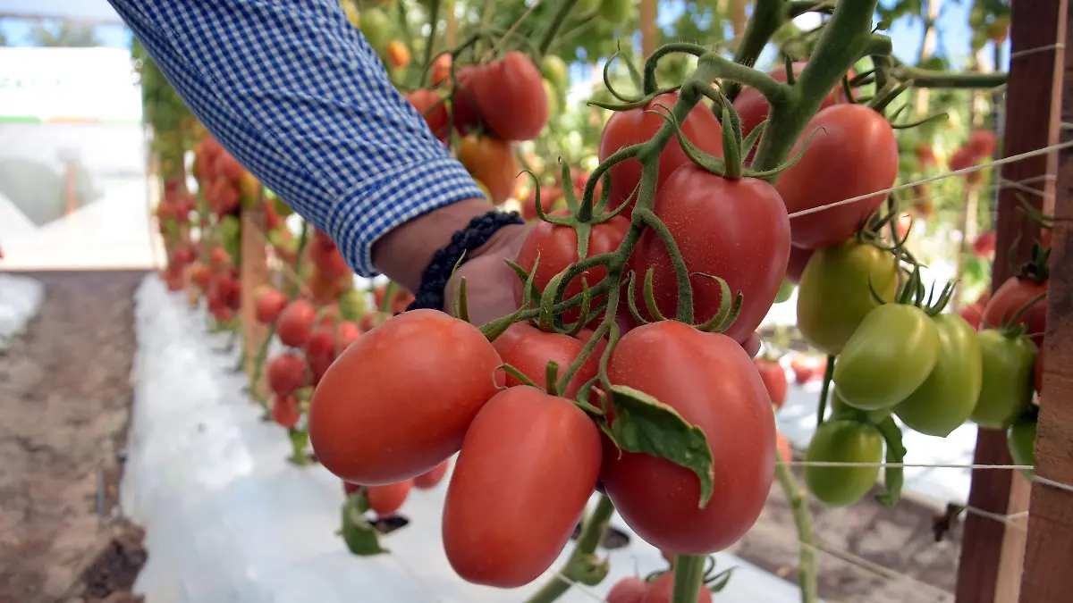 NOTA HARO ENCINAS (2)