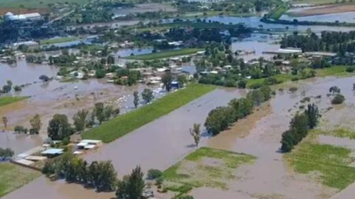 0aef20d5-ee1d-4d81-b583-d74111837b84