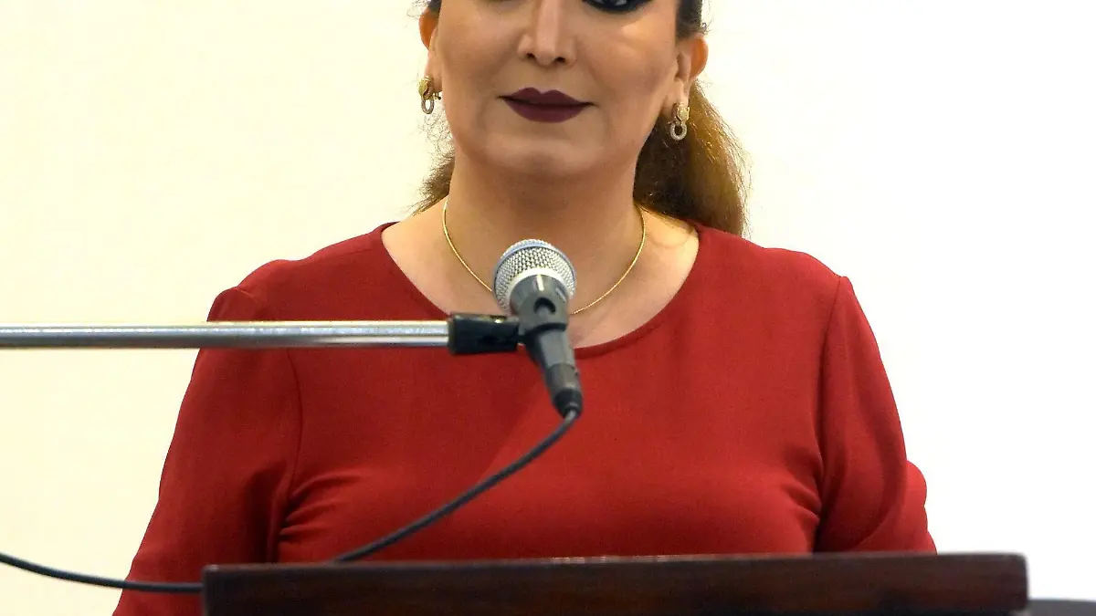 OBSERVATORIO-CIUDADANO-(1)-