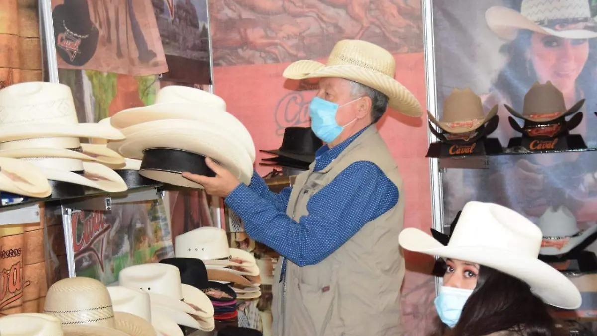 Sapica-una-plataforma