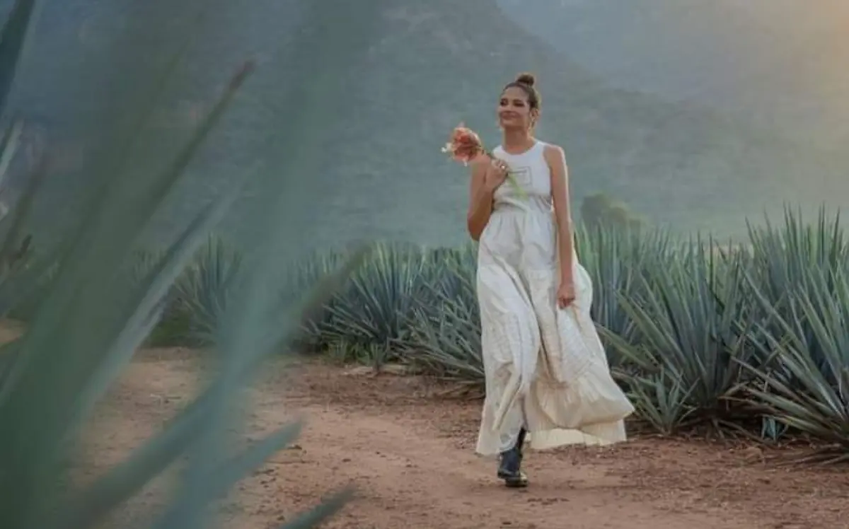 6ad7a837-7359-49fb-ae06-19df32781146