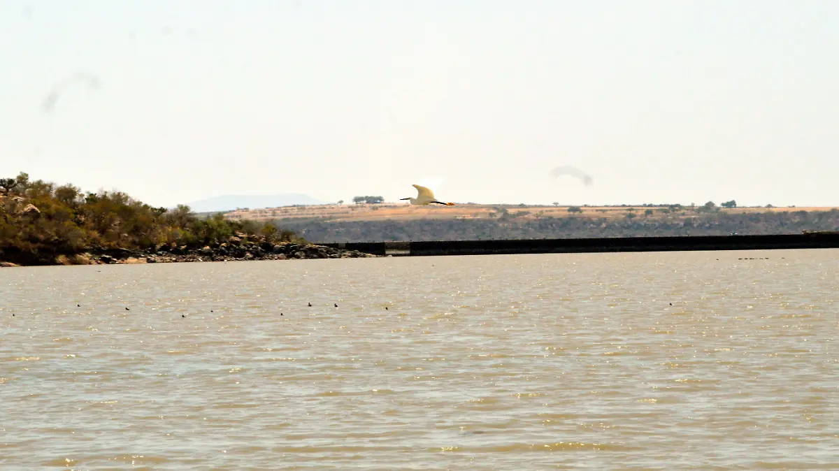 PRESA (3)