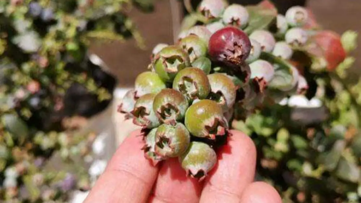 fdc97699-68b8-4d77-bb03-20af3c136a42