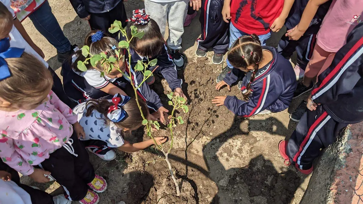REFORESTACION ESCUELAS (2)