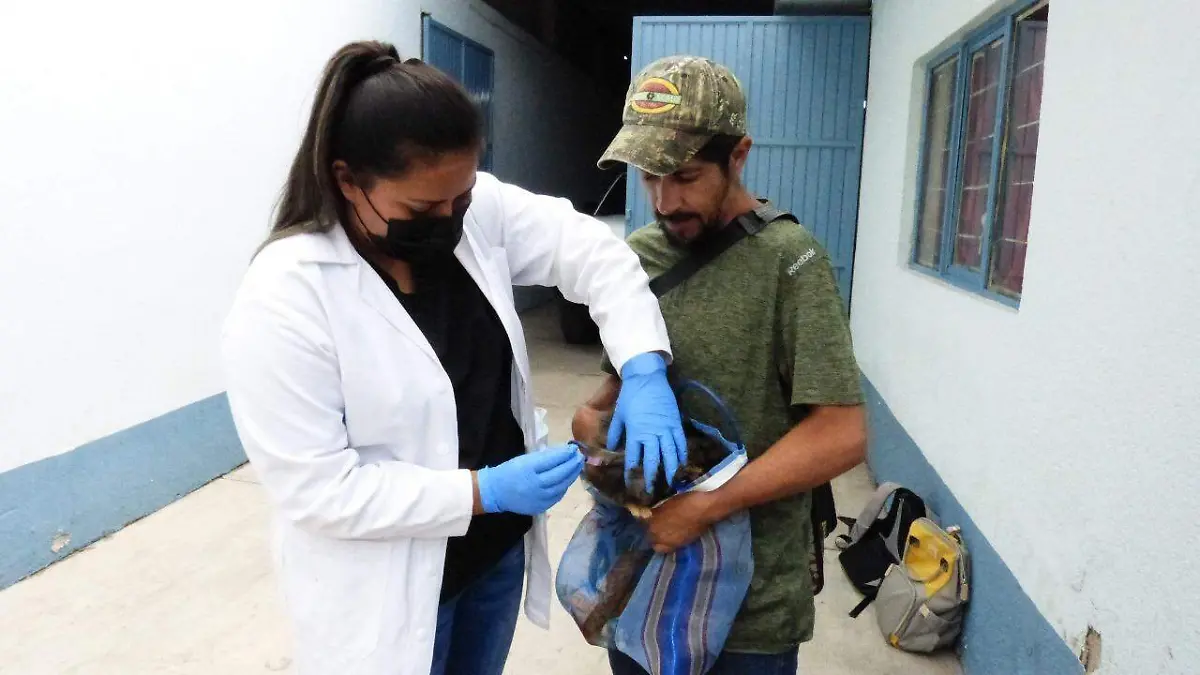 a083ee83-134e-4c42-94eb-3f01b16f636d