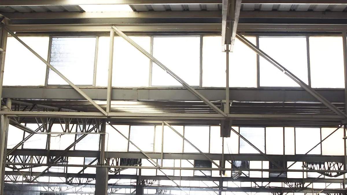 MERCADO HIDALGO okokok