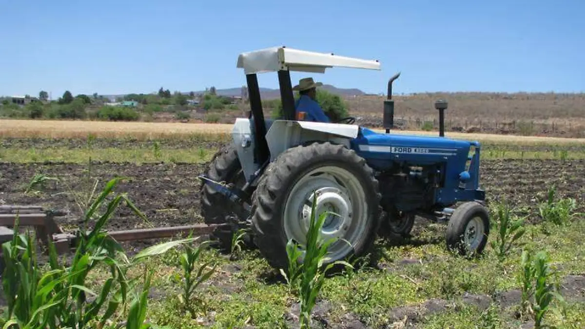 EL CAMPO
