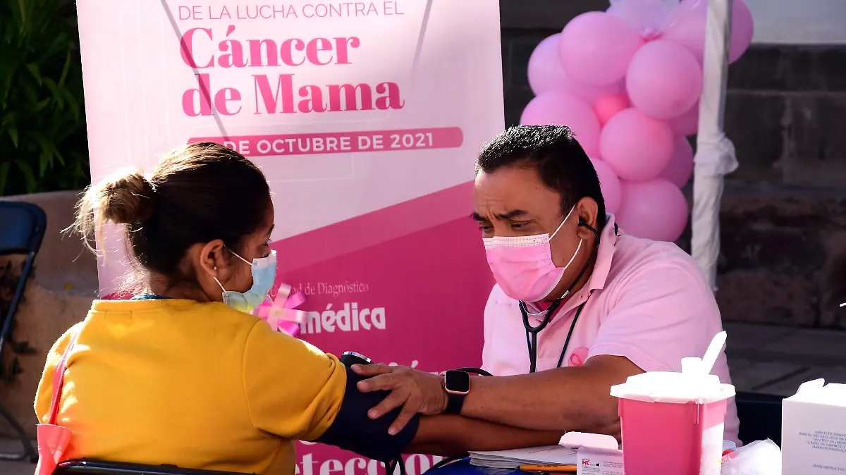 La-alcaldesa-anunció 