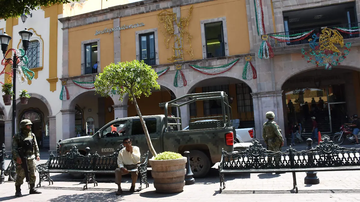 ejercito (8)