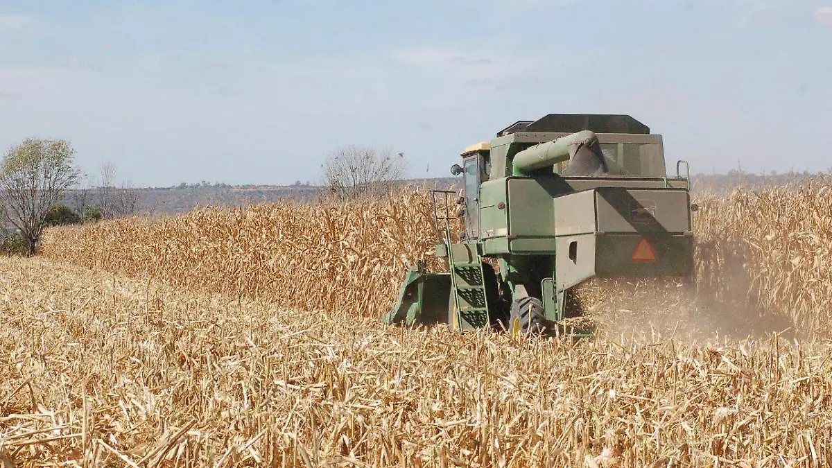 WhatsApp Image 2019-12-14 at 4.41.01 PM