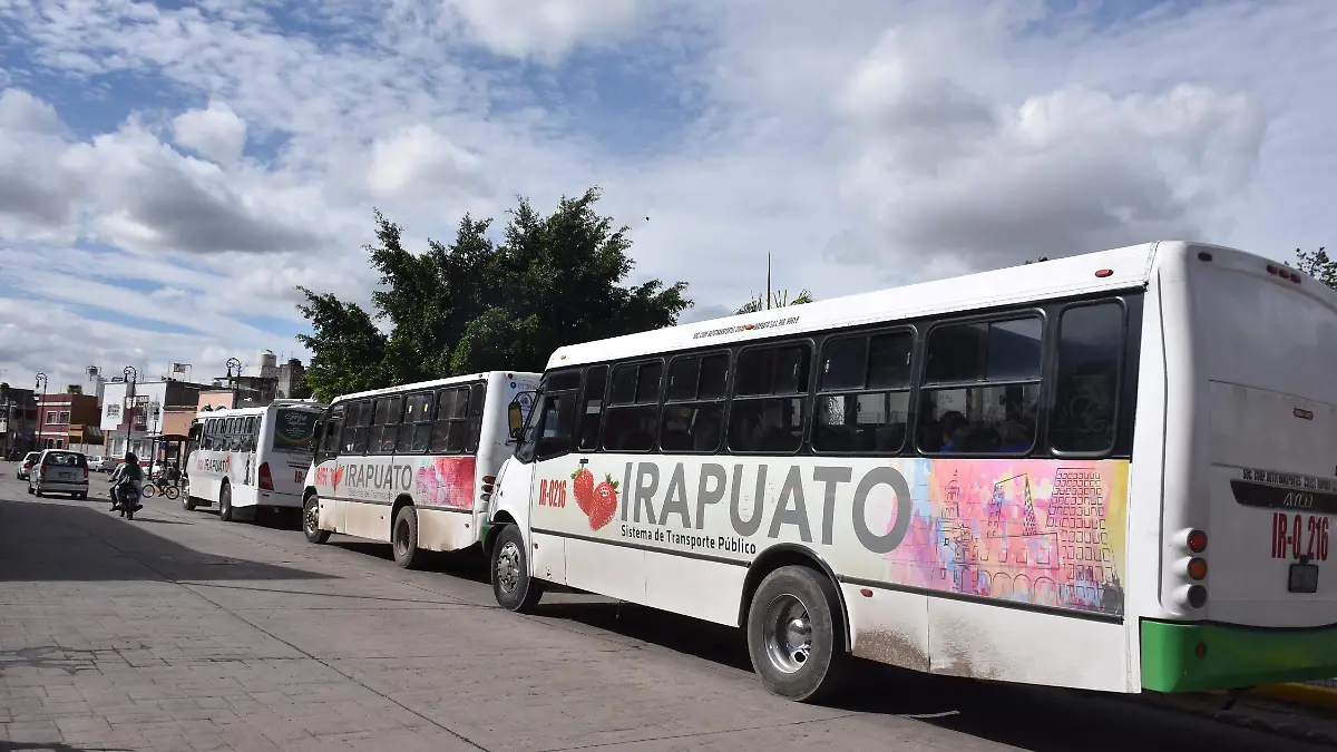 transporte publico (1)