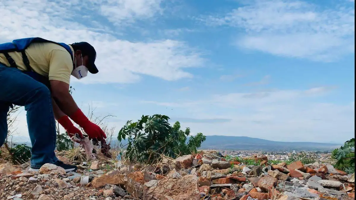 48037f18-151b-4b38-9631-9b7699b42f73