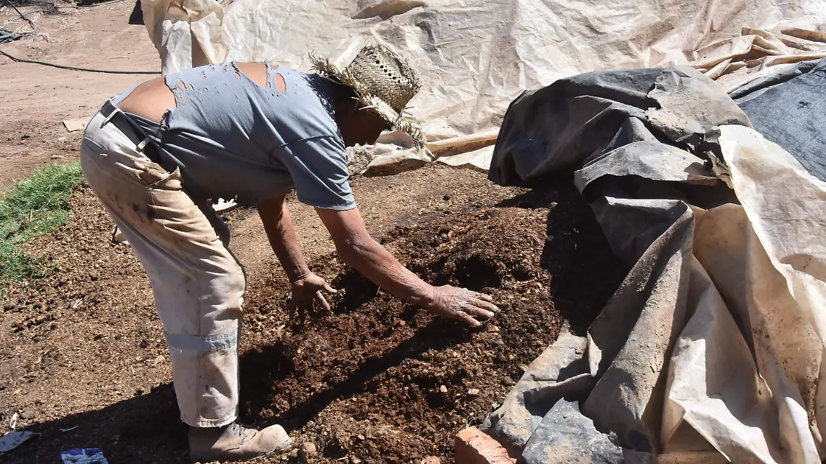 Rocío-Cervantes-dijo-2-okokok