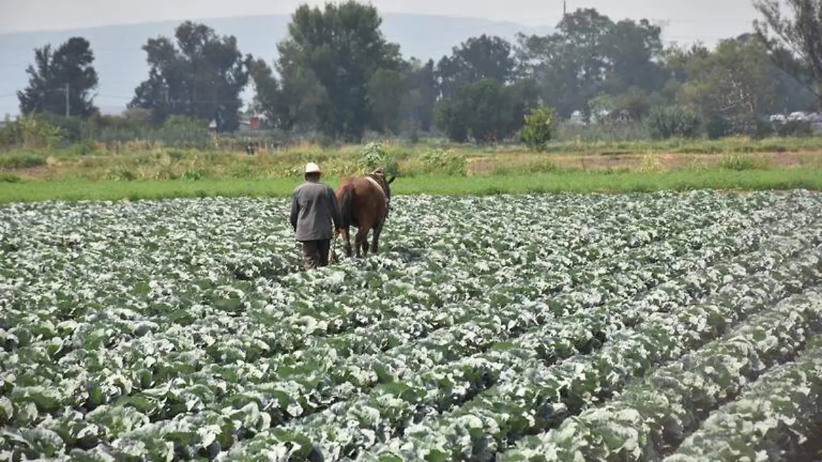 Recurre-Guanajuato-a-recursos -estatales